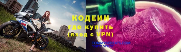 прущие грибы Шадринск
