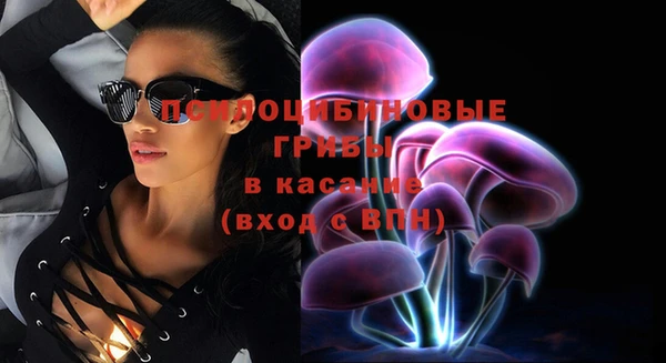 твердый Вуктыл