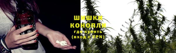гашик Всеволожск