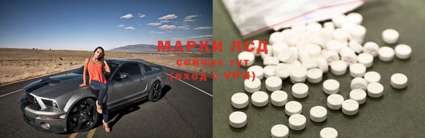 PSILOCYBIN Переславль-Залесский
