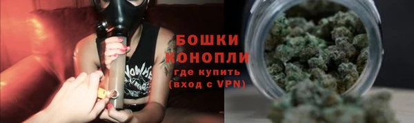 PSILOCYBIN Переславль-Залесский