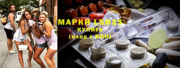 PSILOCYBIN Переславль-Залесский