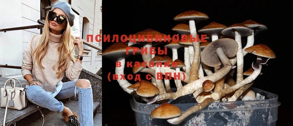 PSILOCYBIN Переславль-Залесский