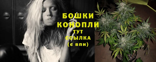 прущие грибы Шадринск