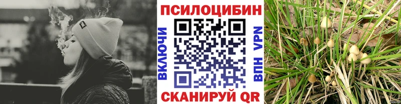 Галлюциногенные грибы Magic Shrooms Губаха