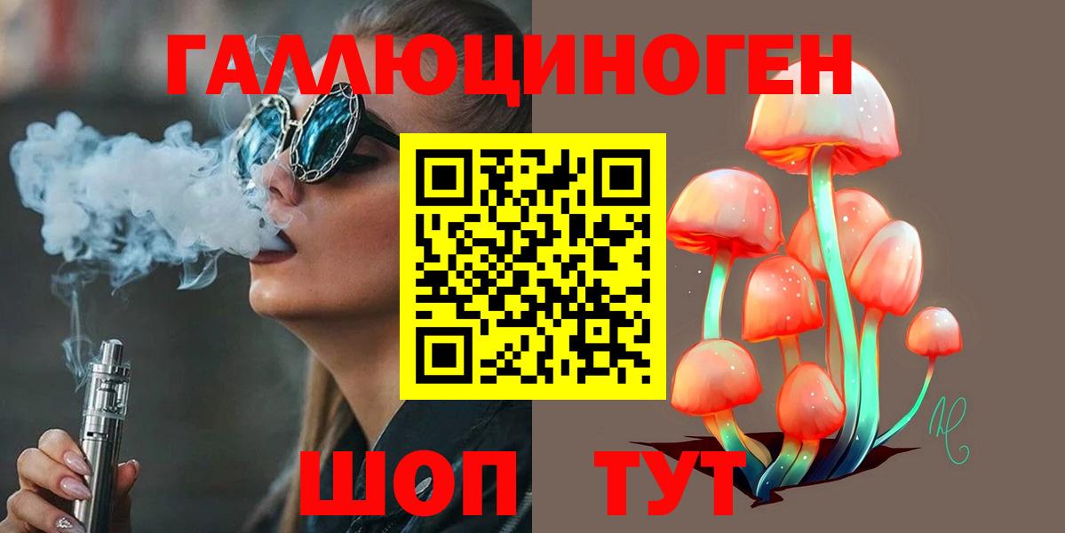 купить наркоту  Вход с VPN  Губаха  Псилоцибиновые грибы Psilocybine cubensis 